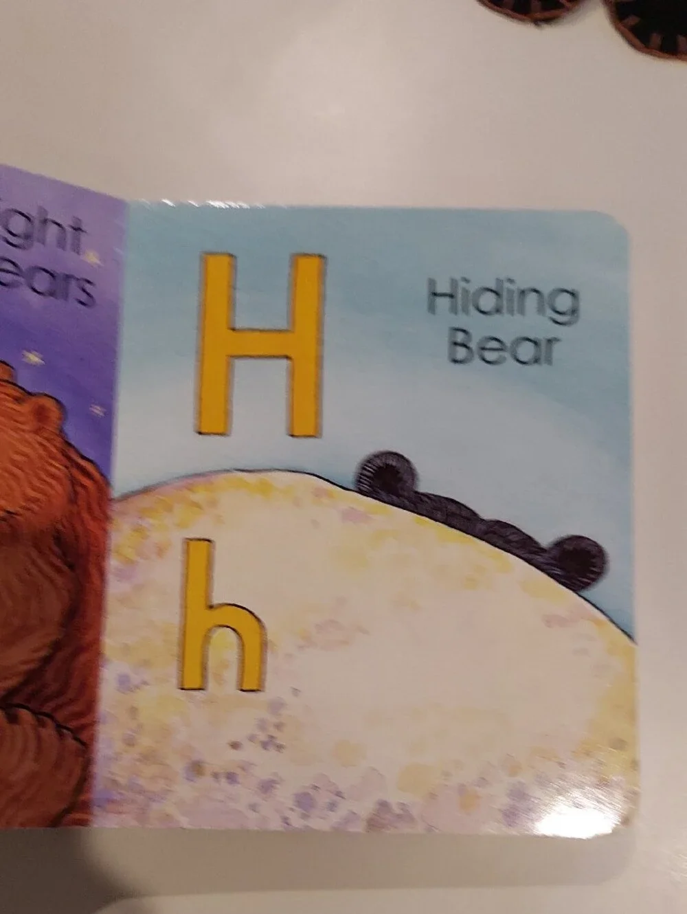 Alaska's ABC Bears - Kids Board Book